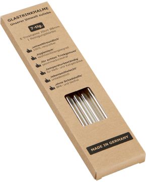 6er Glastrinkhalm Set + Bürste
