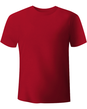 IDS Test-Shirt