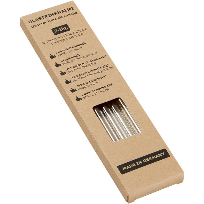 6er Glastrinkhalm Set + Bürste