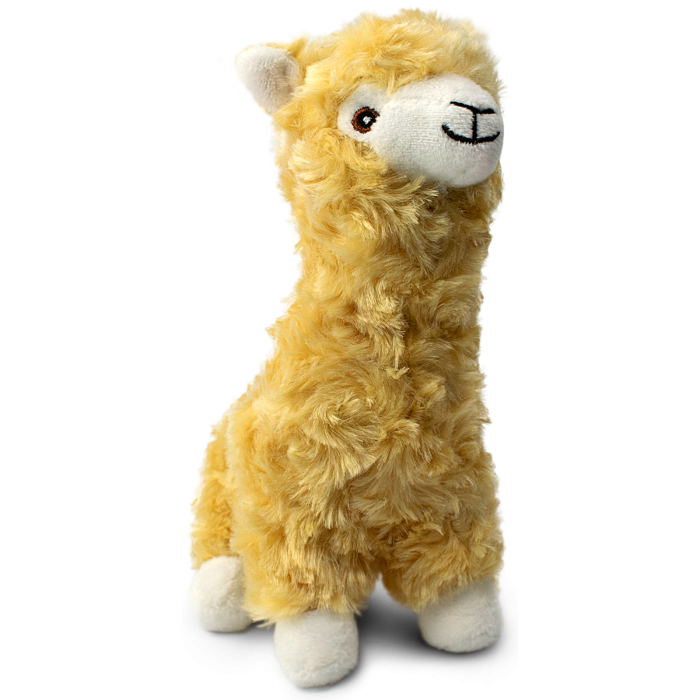 IDS Lama