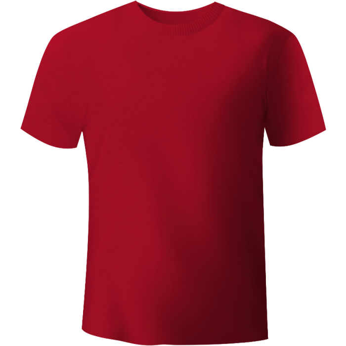 IDS Test-Shirt