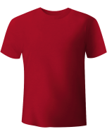 IDS Test-Shirt